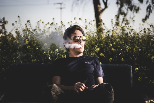 Die Zukunft des Konsums: Vaporizer für Hanfblüten